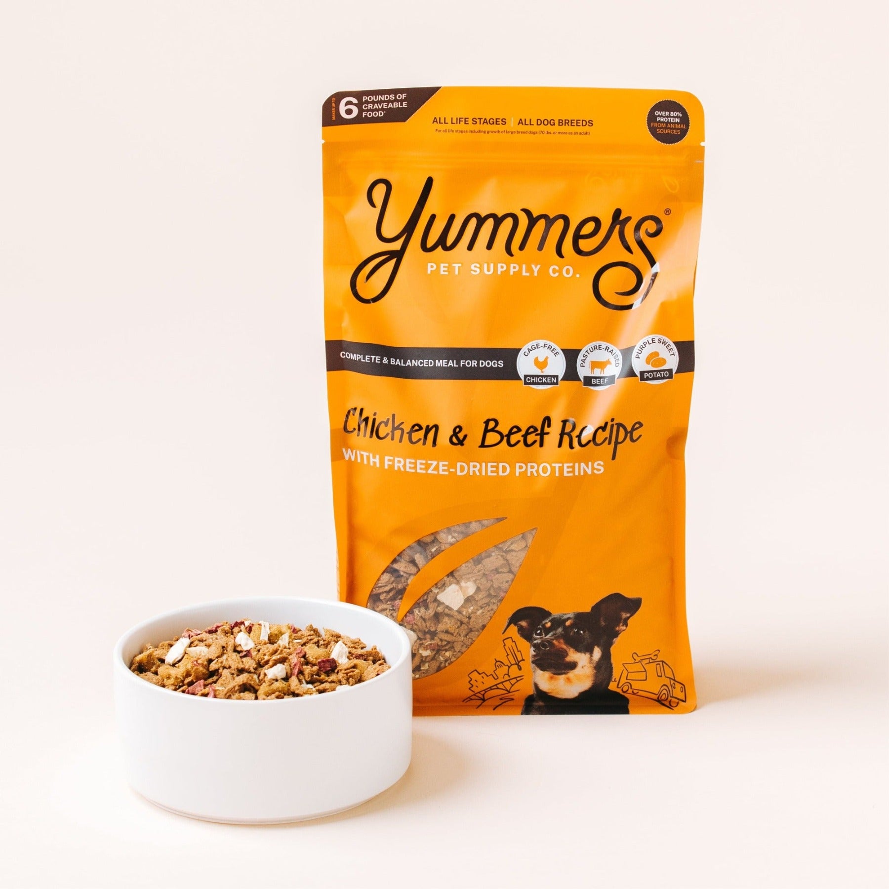 Pet fashion food