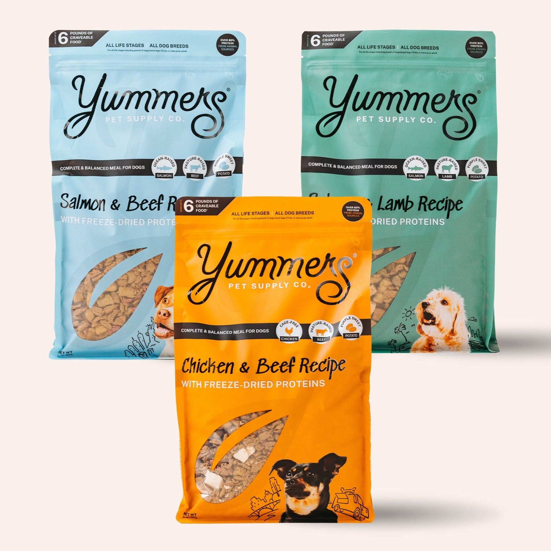 http://yummerspets.com/cdn/shop/files/DogFoodSamplerBundle2.jpg?v=1694737174