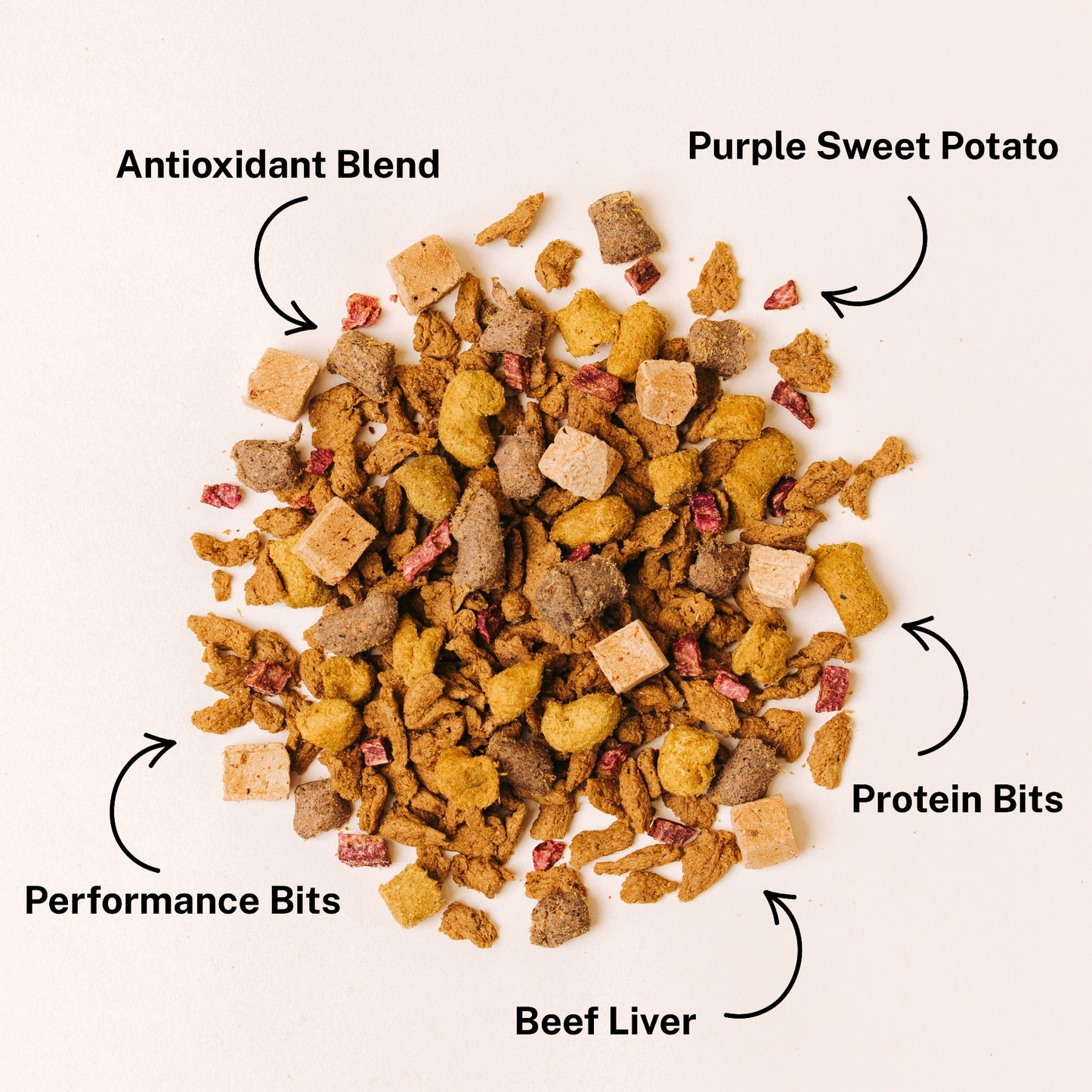 Salmon & Beef Recipe Dog Food