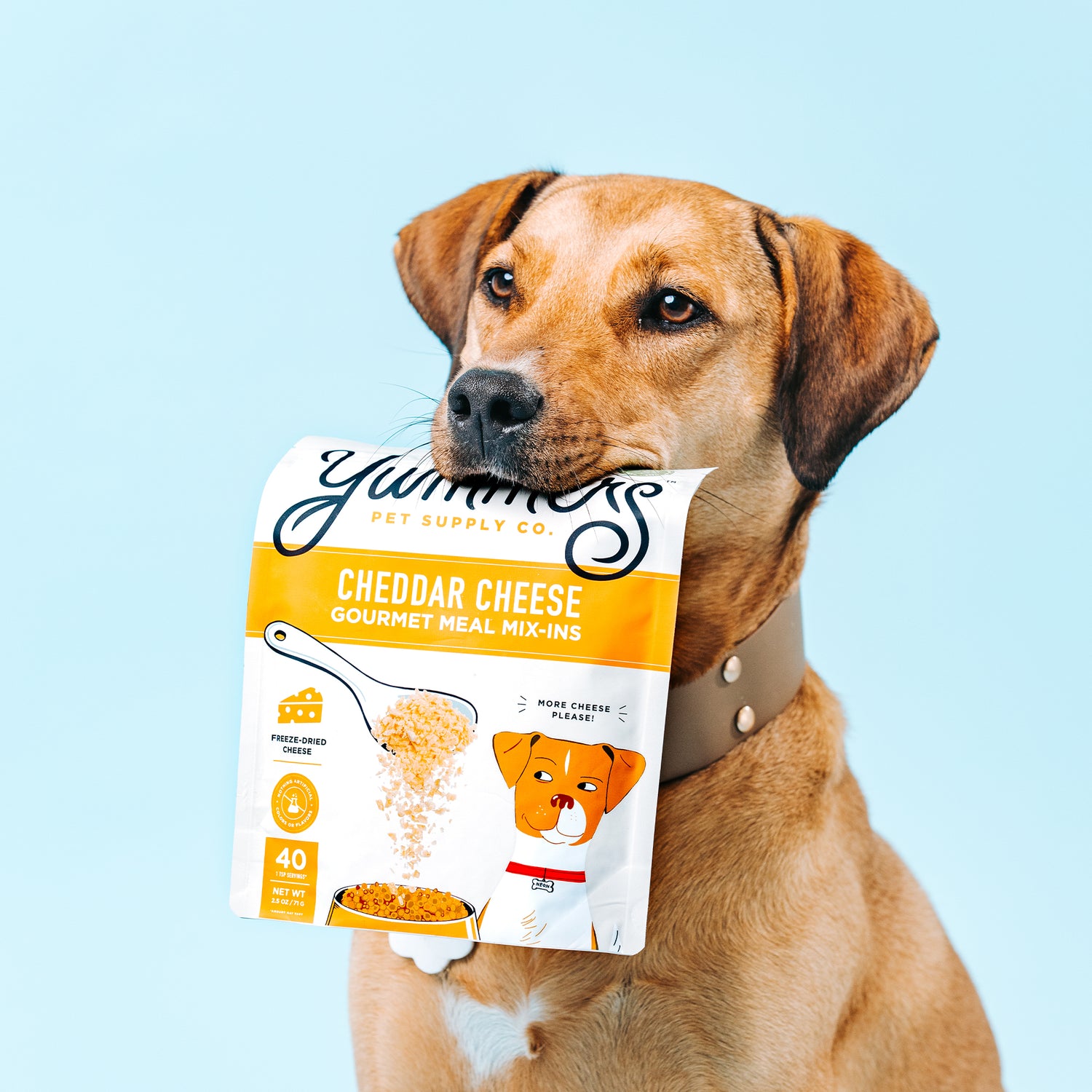 dog with mix ins in his mouth