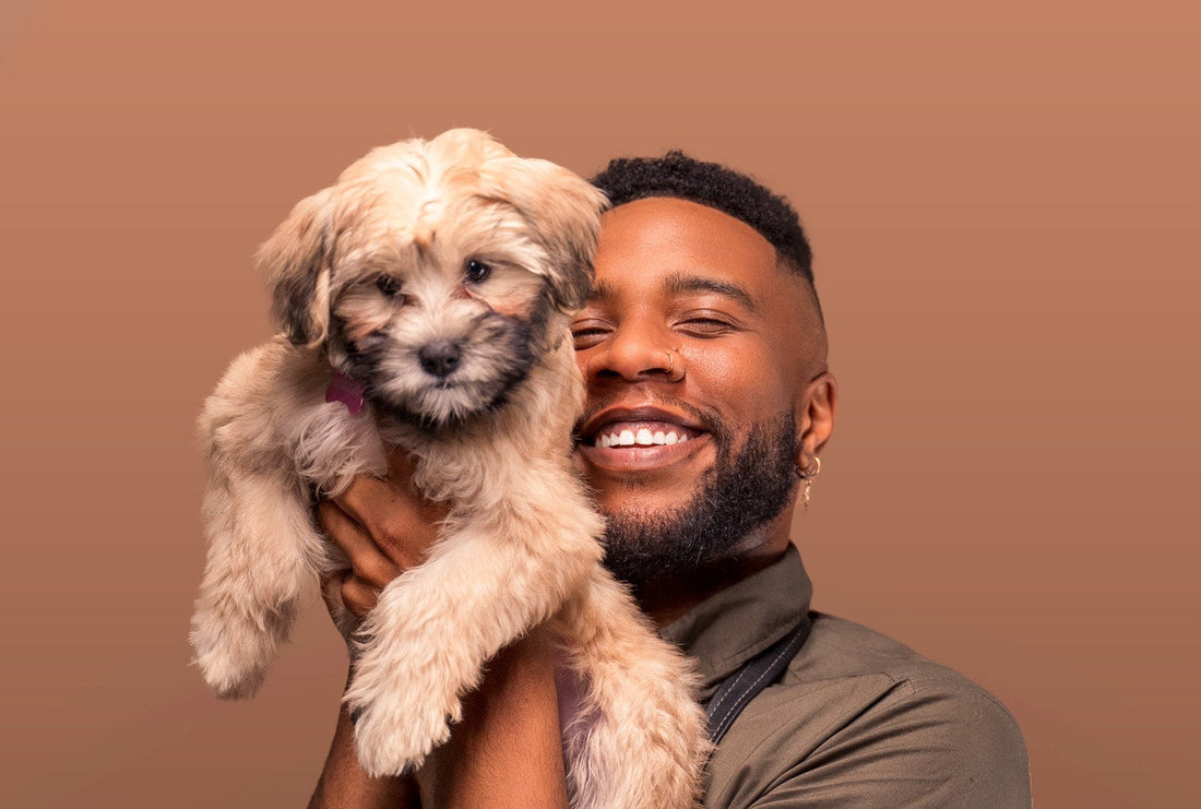 Celebrity Pet Stylist Brian Marshall’s Top Grooming Tips for Spring
