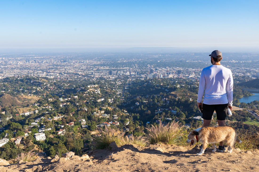 Man and dog overlooking Los Angeles