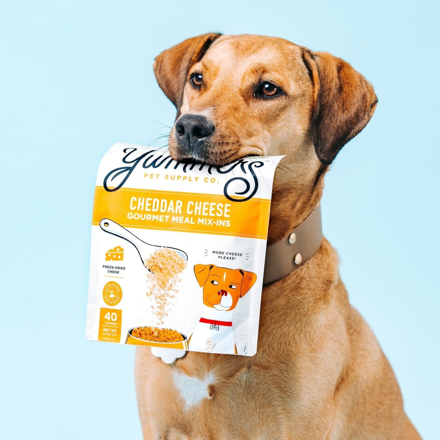 Freeze-dried Cheddar Cheese Gourmet Meal Mix-in for Dogs