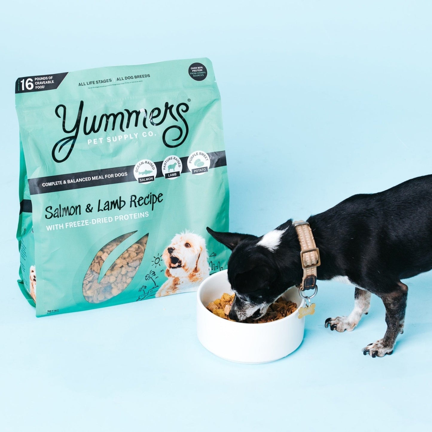 Yummers Salmon & Lamb Dog Food