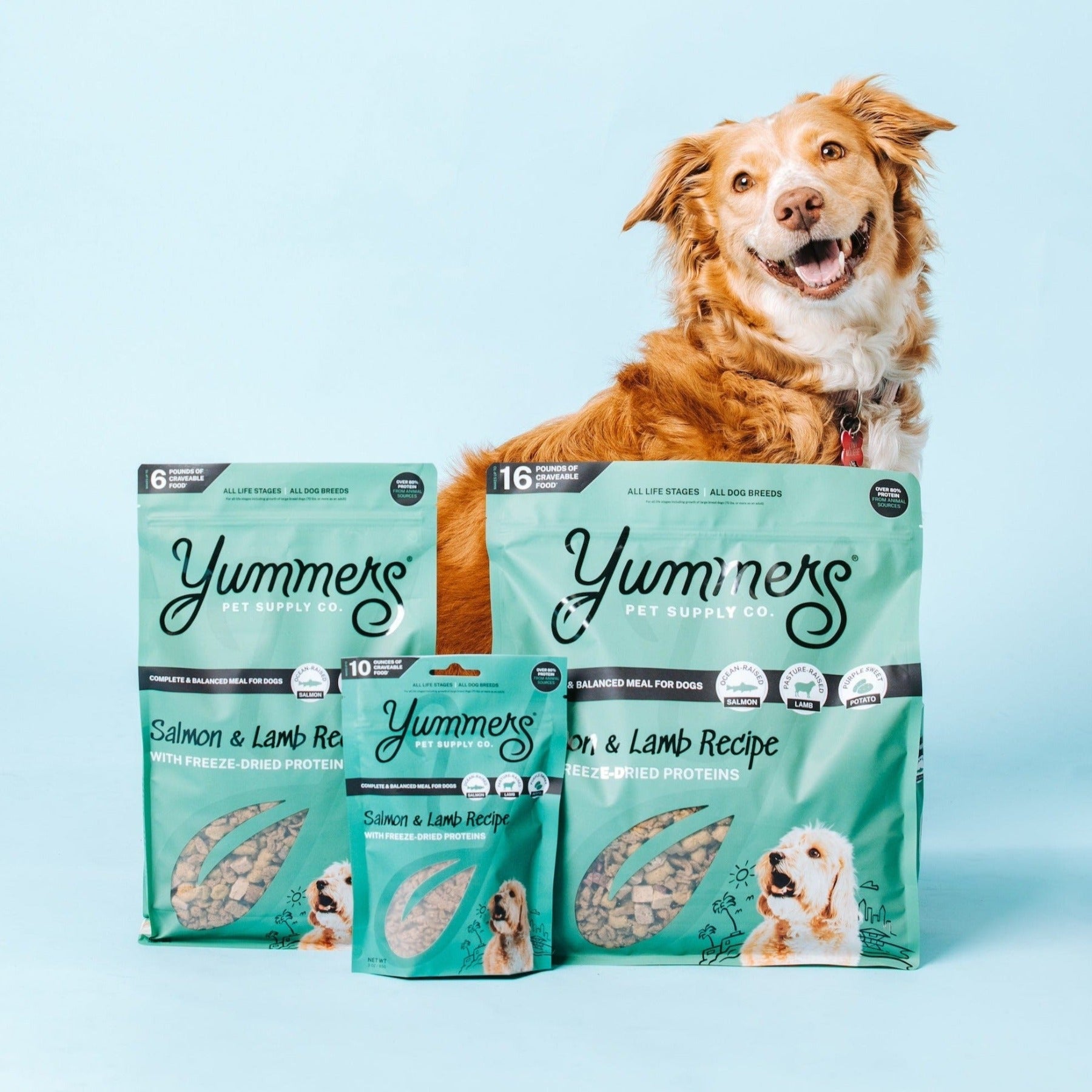 Lamb meal outlet for dogs