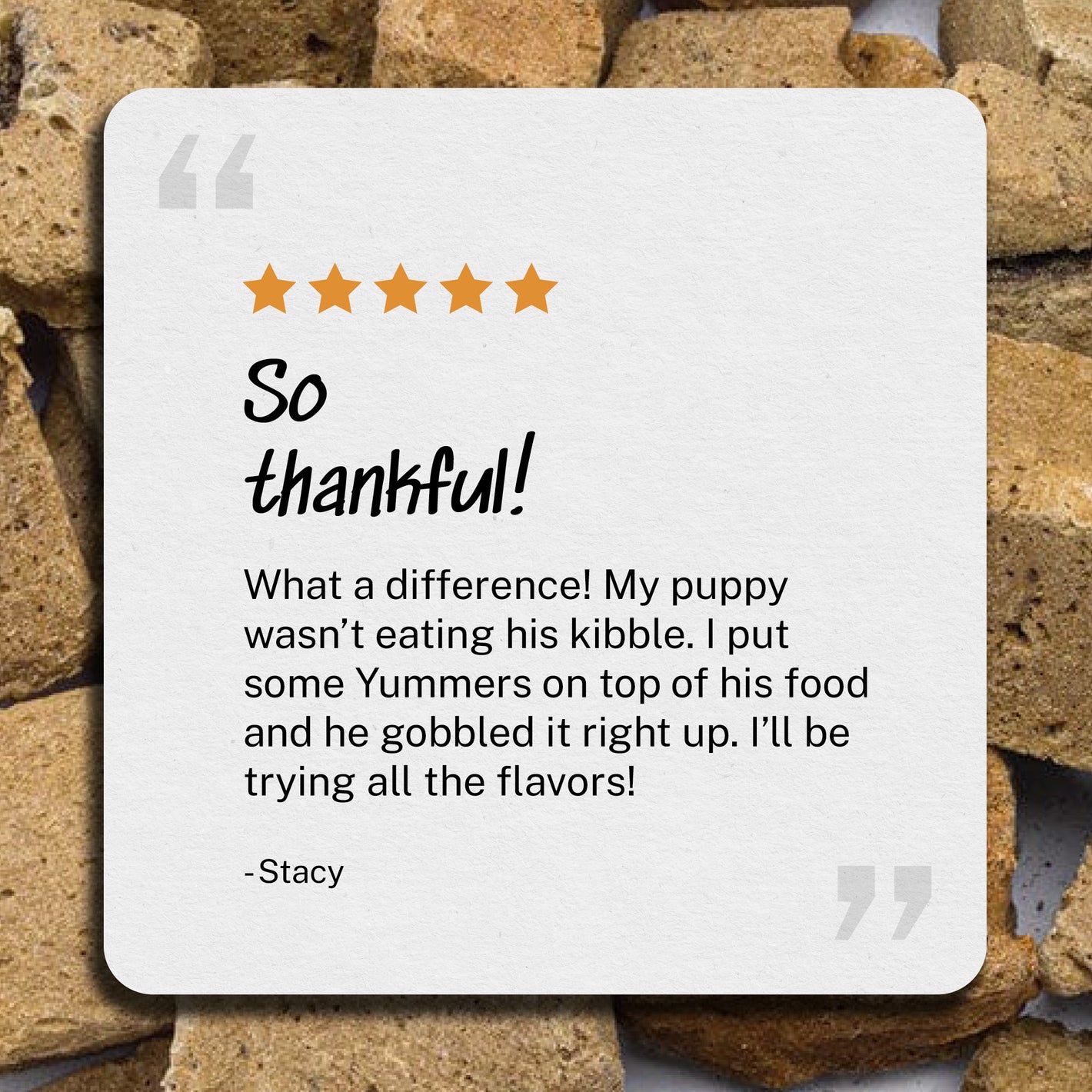 So thankful! What a difference! My puppy wasn’t eating his kibble. I put some Yummers on top of his food and he gobbled it right up. I’ll be trying all the flavors! - Stacy