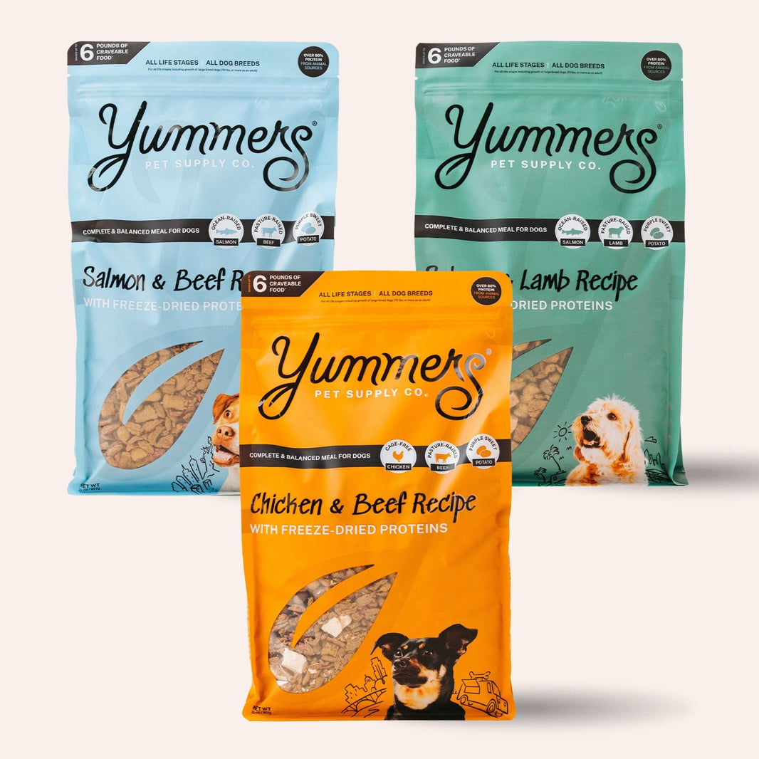 Gourmet pet food and mix-ins | Yummers