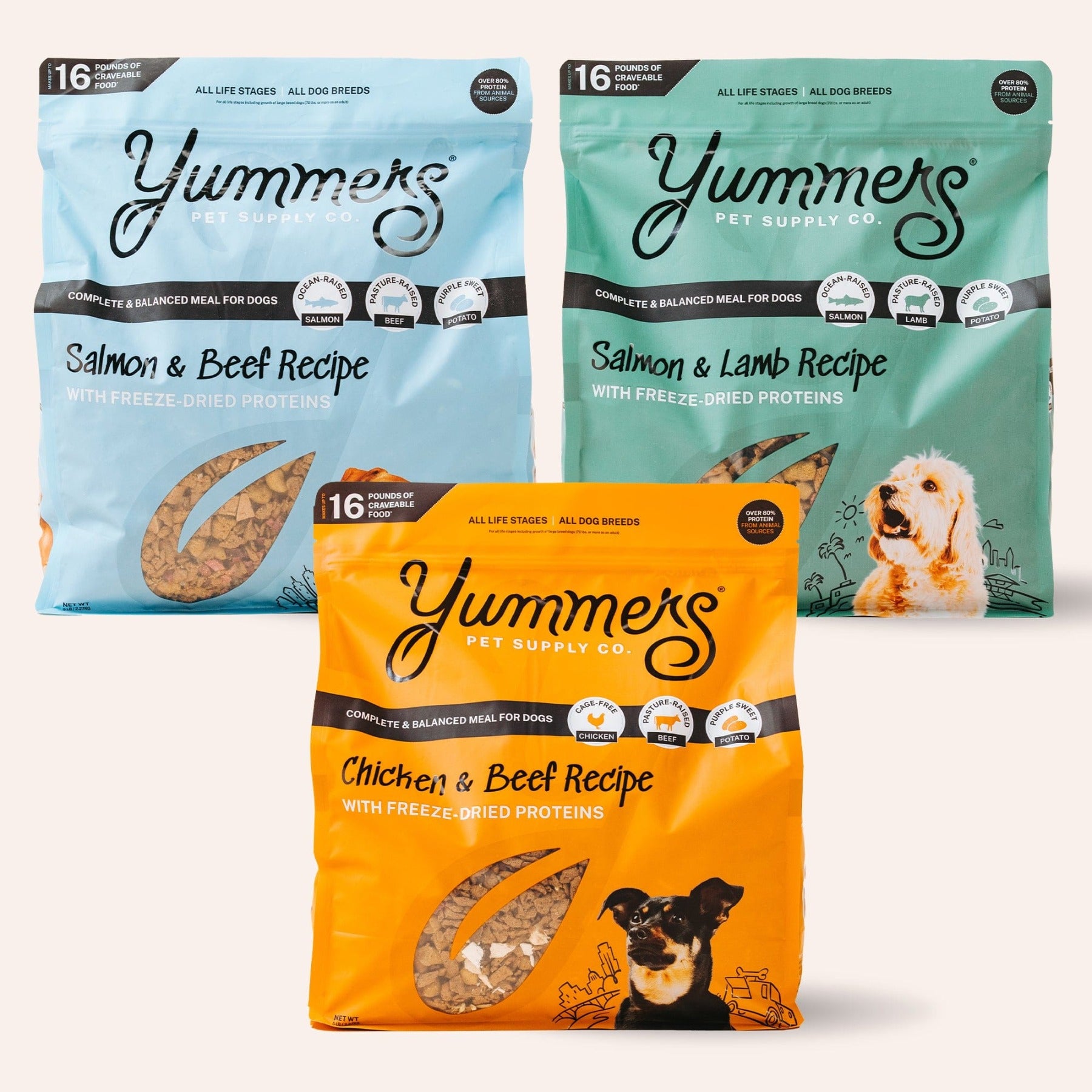 Yummers Dog Food Sampler Bundle