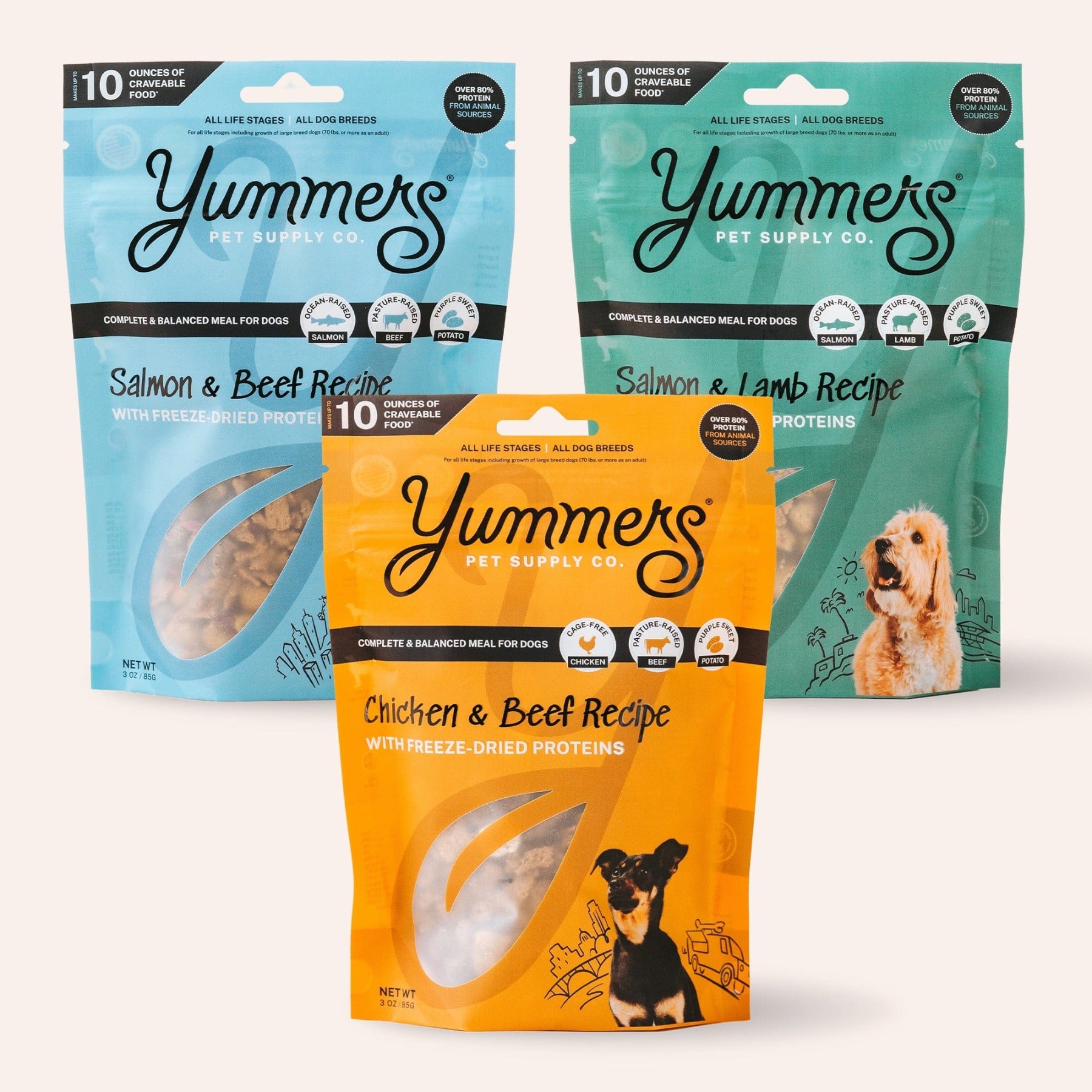 Yummers Dog Food Sampler Bundle