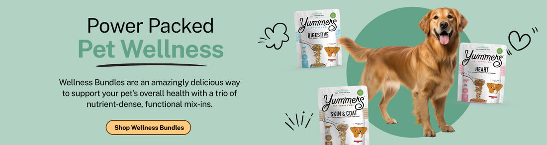 Gourmet pet food and mix-ins | Yummers