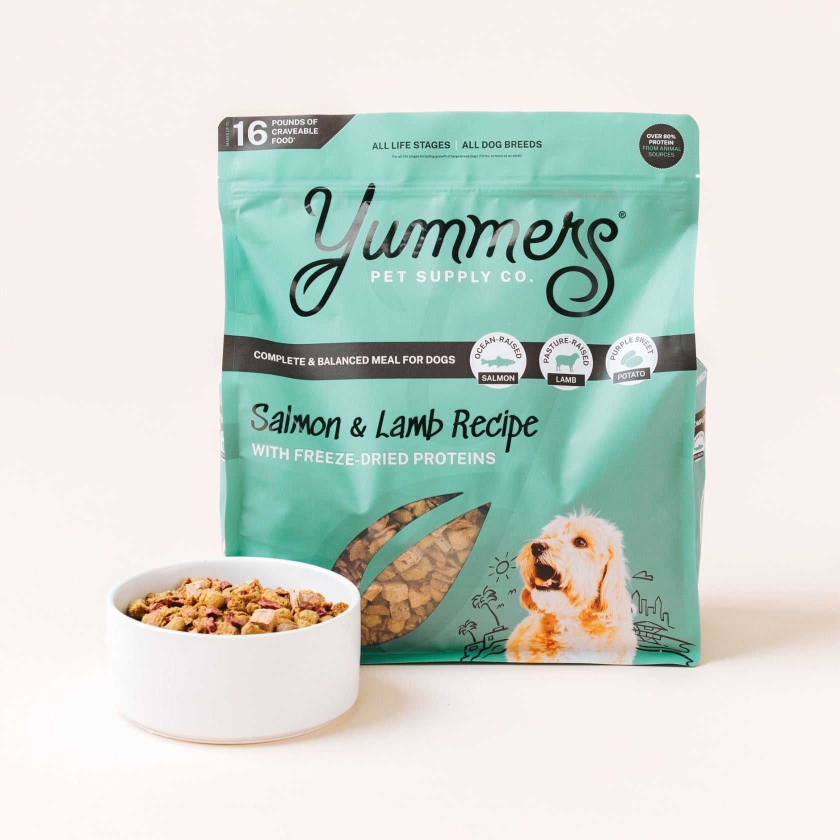 Salmon & Lamb Recipe Dog Food – Yummers