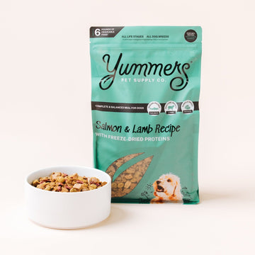 Gourmet pet food and mix-ins | Yummers