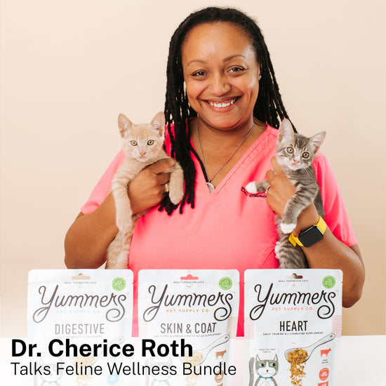 Dr. Roth talks about Yummers Feline Wellness Bundle