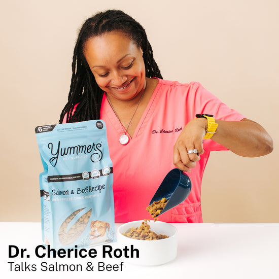 Dr. Cherice Roth's Review of Salmon & Beef Recipe Dog Food