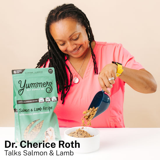 Dr. Cherice Roth's review of Yummers Salmon & Lamb Dog Food