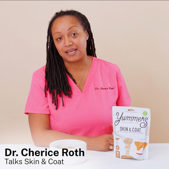 Dr. Cherice Roth reviewing Yummers Skin & Coat Supplement